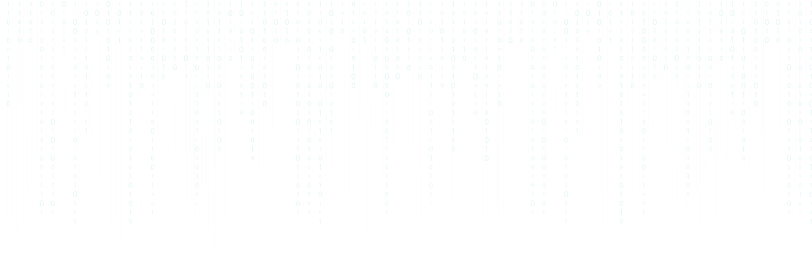  {Full Stack}Web developer